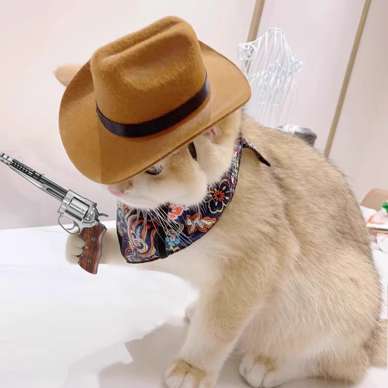  Cat Cowboy Hat Pet Head Acce - огляд і ціна Cowboy Hat Straw
